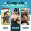 06465198-8b68-48b4-800c-2a447d48f60b.jpg Hemp Cat Calming Treats For Stress & Anxiety Relief Cat Kittens Melatonin