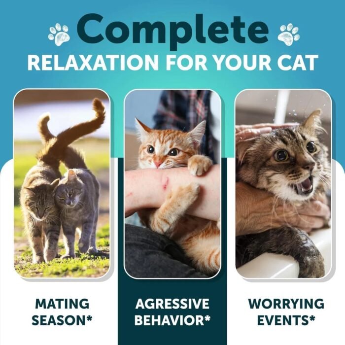 06465198-8b68-48b4-800c-2a447d48f60b.jpg Hemp Cat Calming Treats For Stress & Anxiety Relief Cat Kittens Melatonin