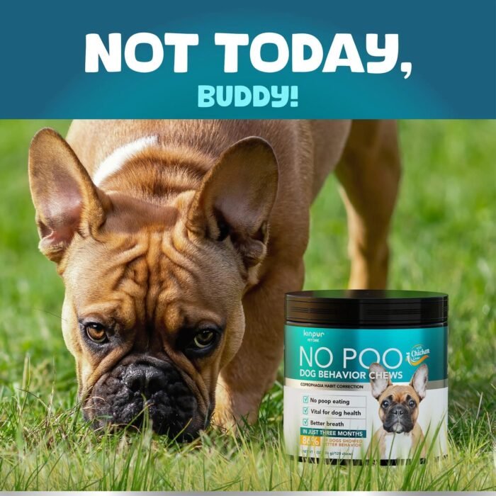 Dedicated probiotics and digestive enzymes for dogs, suitable for all breeds, supporting oral odor, digestion, and intestinal health as a supplement