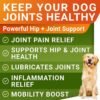 Youmile Hip & Joint Health Supplement For Dogs 120 Chews, Glucosamine Chondroitin MSM Dog Chews With Hyaluronic Acid, Liver Flavored Bone & Joint Support Supplement, For All Breeds
