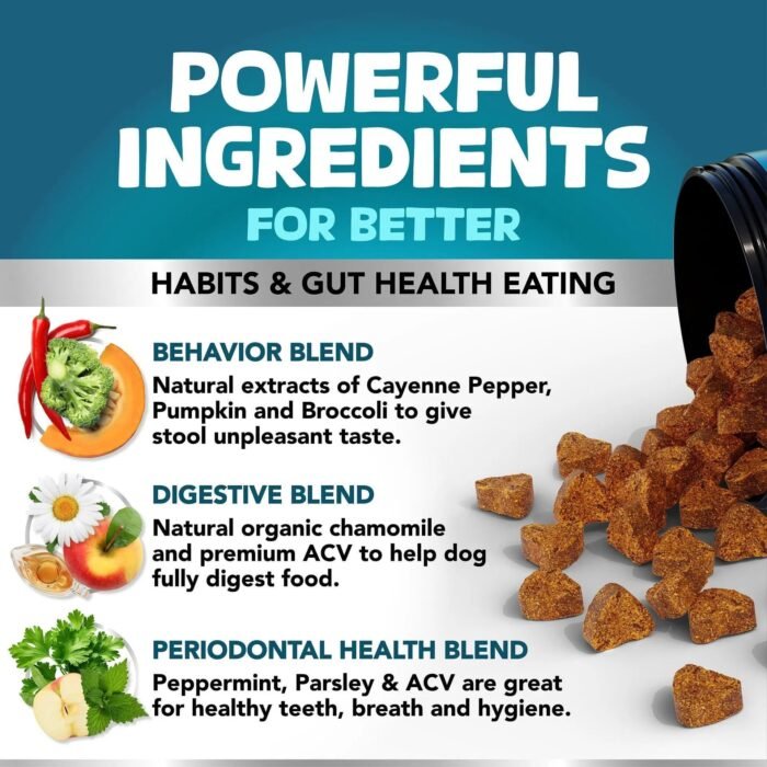 Dedicated probiotics and digestive enzymes for dogs, suitable for all breeds, supporting oral odor, digestion, and intestinal health as a supplement