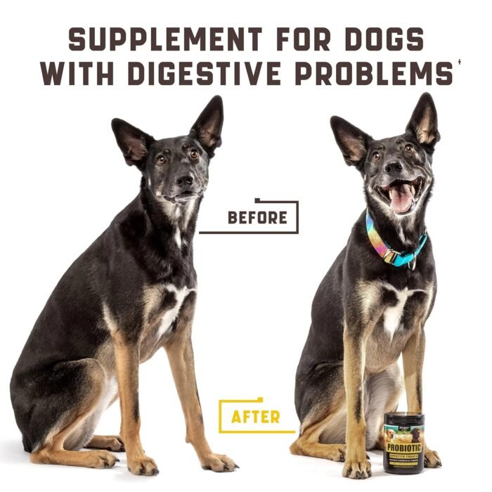 Dog probiotics support intestinal health, enhance immunity, and contain digestive enzymes. Duck-flavored chewable tablets