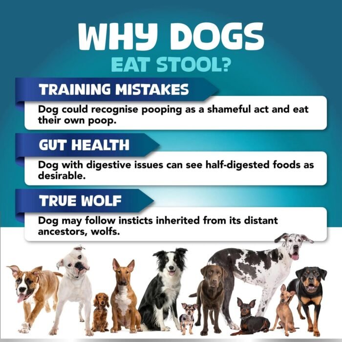 Dedicated probiotics and digestive enzymes for dogs, suitable for all breeds, supporting oral odor, digestion, and intestinal health as a supplement