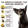 Dog probiotics support intestinal health, enhance immunity, and contain digestive enzymes. Duck-flavored chewable tablets