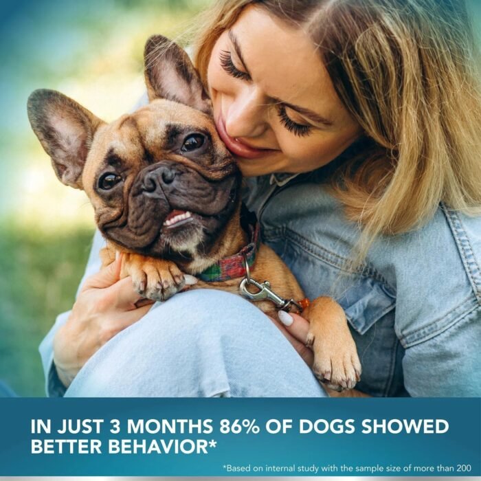 Dedicated probiotics and digestive enzymes for dogs, suitable for all breeds, supporting oral odor, digestion, and intestinal health as a supplement