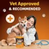 f6f2fe34-497a-4d35-9678-9915a7187d84.jpg Pumpkin Powder For Dogs Digestive Support 8 OZ Fiber Supplement For Constipation For Gut Balance Healthy Skin Digestion Glands Firm Stool Poop Anti Diarrhea Gas Relief